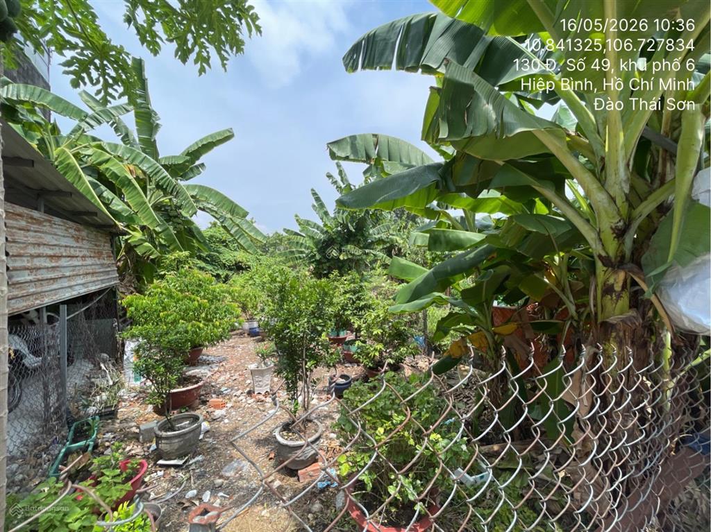 Bán thửa đất số 1214, tờ bản đồ số 24, phường hiệp bình chánh, thành phố thủ đức, hồ chí minh