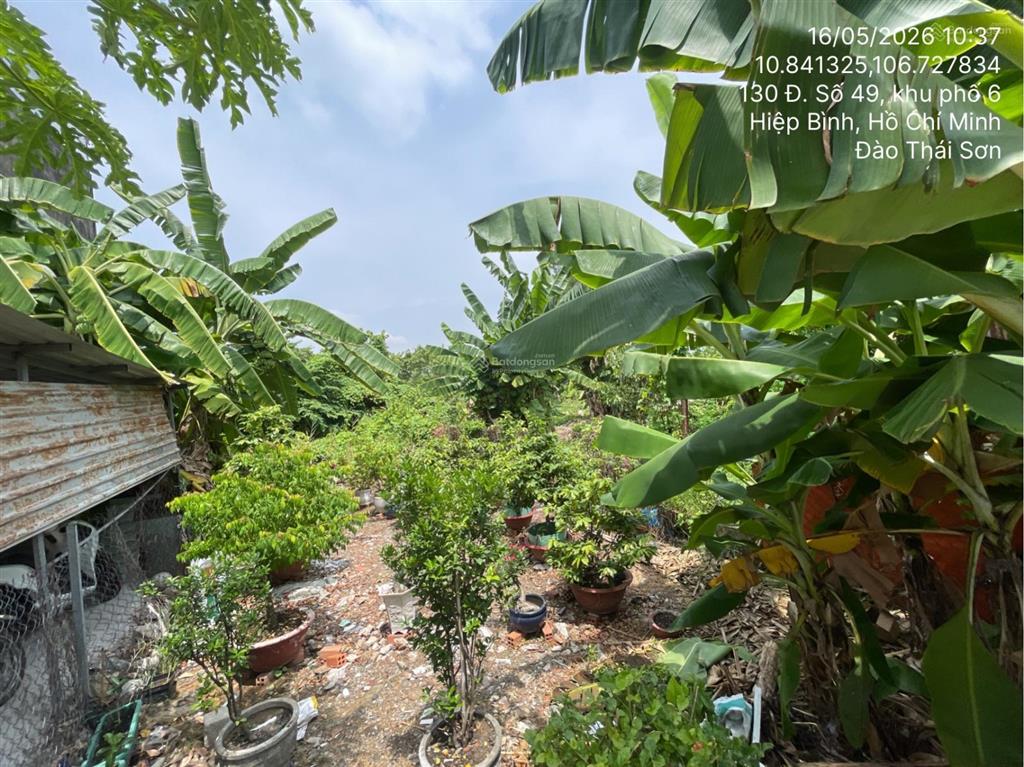 Bán thửa đất số 1214, tờ bản đồ số 24, phường hiệp bình chánh, thành phố thủ đức, hồ chí minh