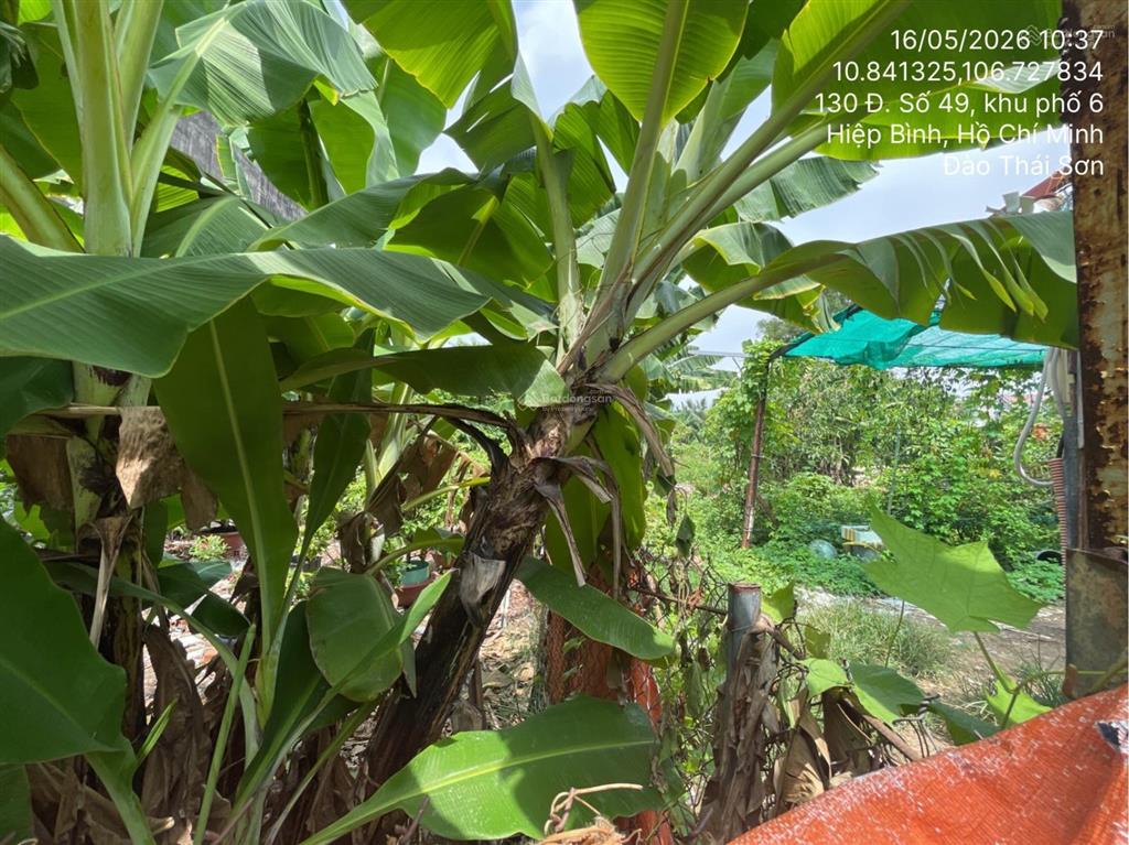 Bán thửa đất số 1214, tờ bản đồ số 24, phường hiệp bình chánh, thành phố thủ đức, hồ chí minh