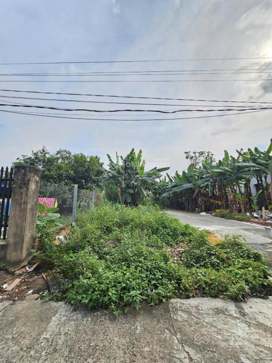 Bán đất quy hoạch đất ở, dt 40.000m2 phường hố nai, gần trường nghề hòa bình