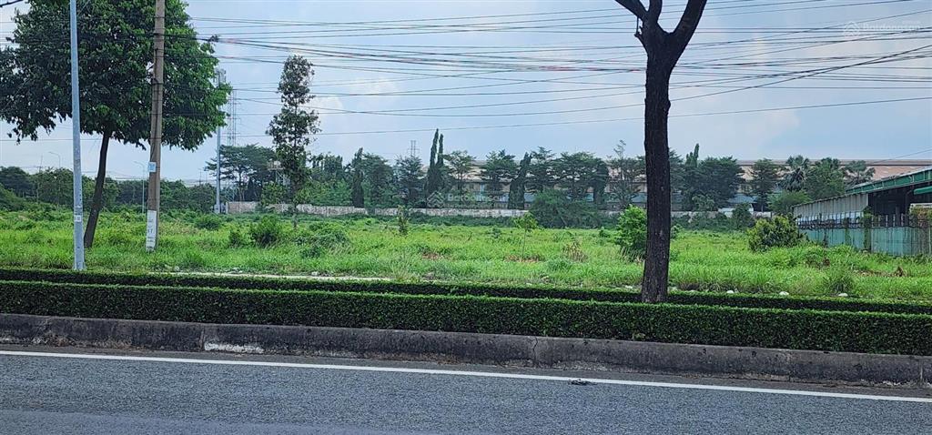 Bán đất xã tân an, vĩnh cửu 10 hecta, có 2000m2 đất ở