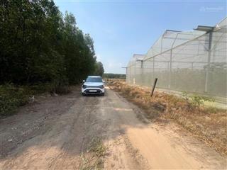 1xẹt đường hoà bình , đường 2 oto tránh nhau, dt 420m đã có sổ hồng ,đất cao ráo ,ranh móc rõ ràng