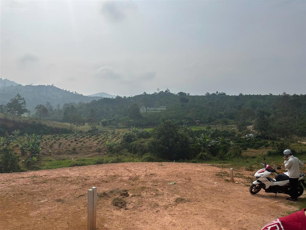 Bán đất xã hoa ninh  di linh ngay cây xăng 16 đi vào 2km. dt 9x28m, giá 450 triệu full thổ