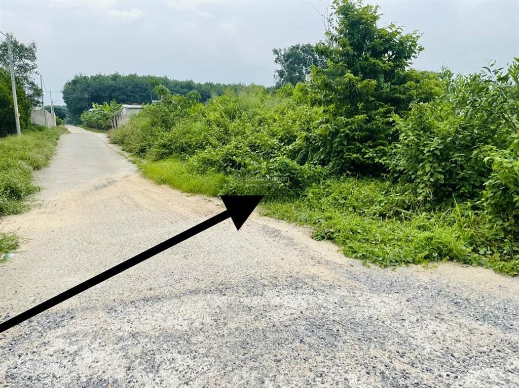 Bán đất tại xã tân hiệp, 4,2 triệu/m2, 5336m2, giá cực chất, nhiều tiện ích.  0988 960 ***