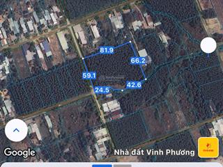 Bán đất tại xã tân hiệp, 4,2 triệu/m2, 5336m2, giá cực chất, nhiều tiện ích.  0988 960 ***
