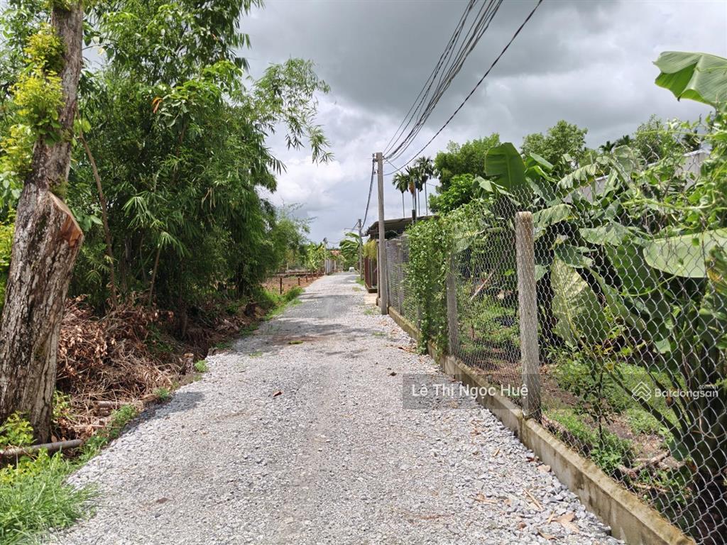 Bán 2573 m2 đất cây lâu năm giá chỉ 1 tỷ, đường số 8, ấp bông trang, thạnh đức, gò dầu, tây ninh