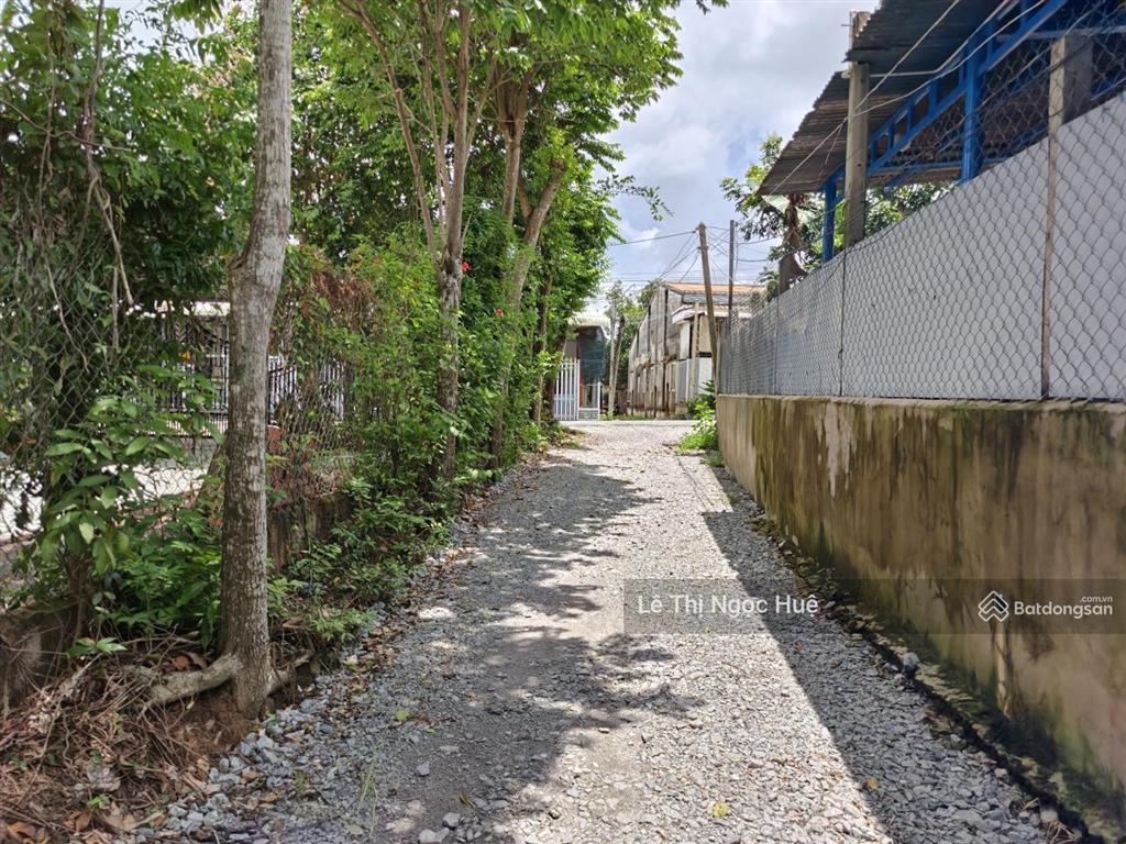 Bán 2573 m2 đất cây lâu năm giá chỉ 1 tỷ, đường số 8, ấp bông trang, thạnh đức, gò dầu, tây ninh