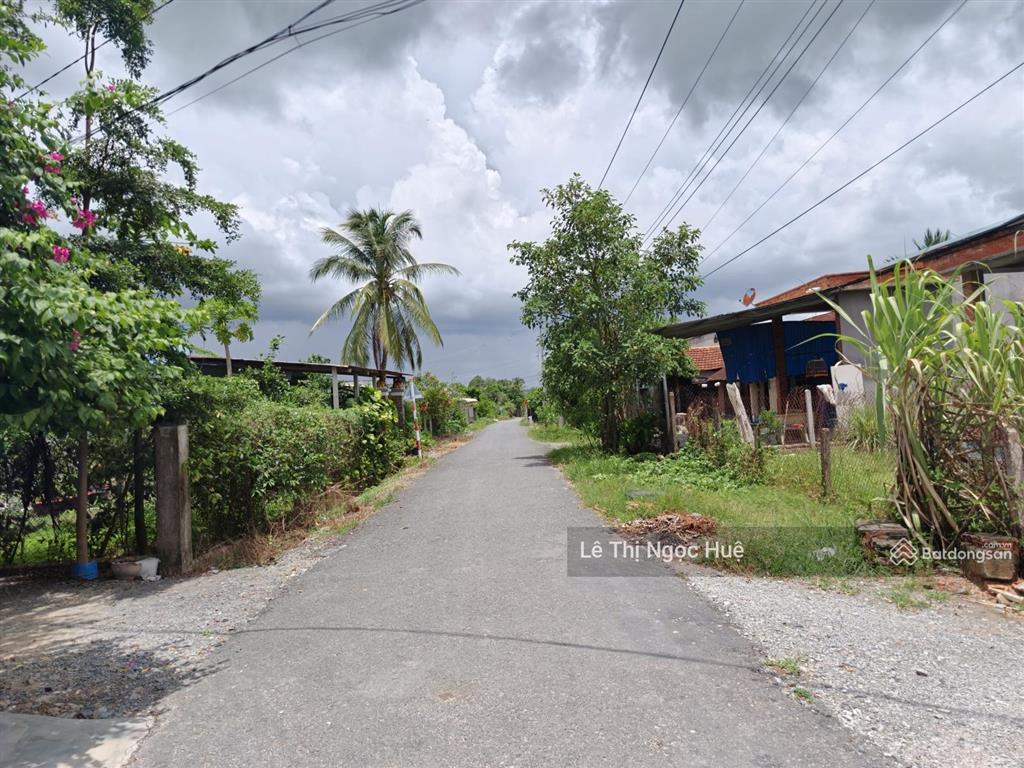 Bán 2573 m2 đất cây lâu năm giá chỉ 1 tỷ, đường số 8, ấp bông trang, thạnh đức, gò dầu, tây ninh