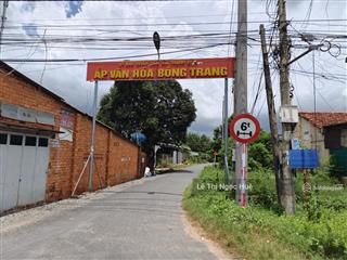 Bán 2573 m2 đất cây lâu năm giá chỉ 1 tỷ, đường số 8, ấp bông trang, thạnh đức, gò dầu, tây ninh