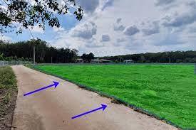 Cần bán 1.300 m2 tại long hòa cần giờ  tphcm