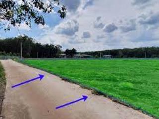Cần bán 1.300 m2 tại long hòa cần giờ  tphcm
