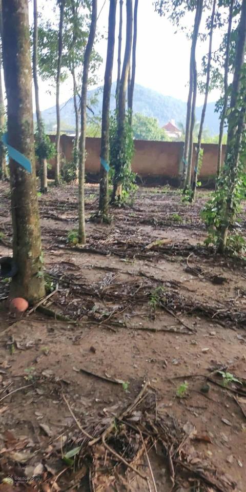 Hot hòn họt...nhà cần tiền bán nhanh gấp lô đất thổ cư 1.380m2, 23mx60m, giá chỉ 2 tỷ 3.