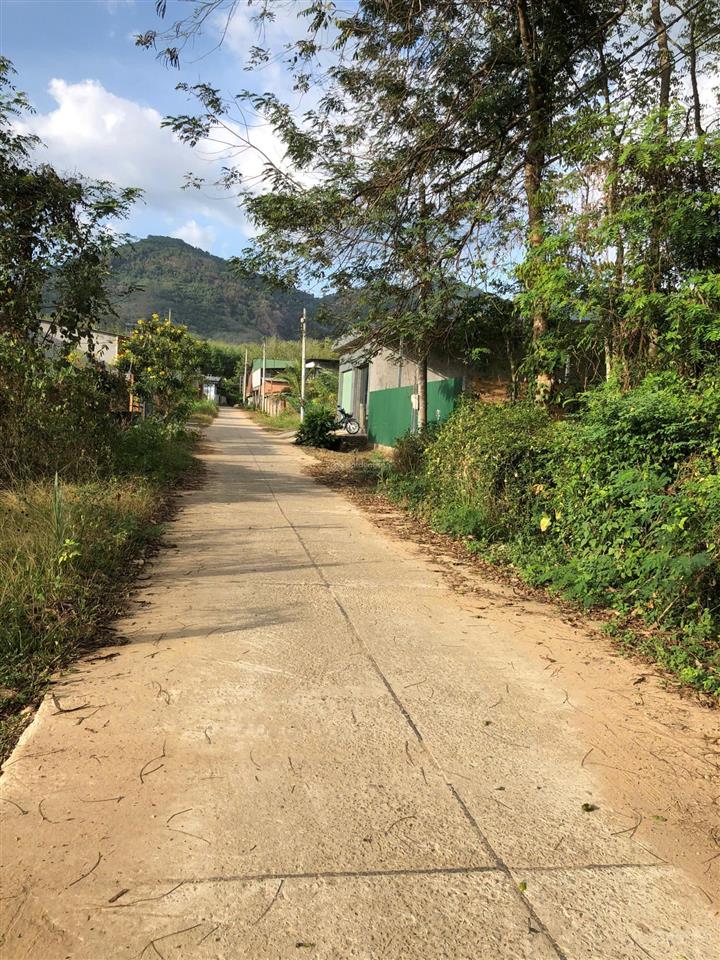 Cần tiền bán gấp lô đất thổ cư 1.260m2, 23mx55m, giá chỉ 2,3 tỷ.