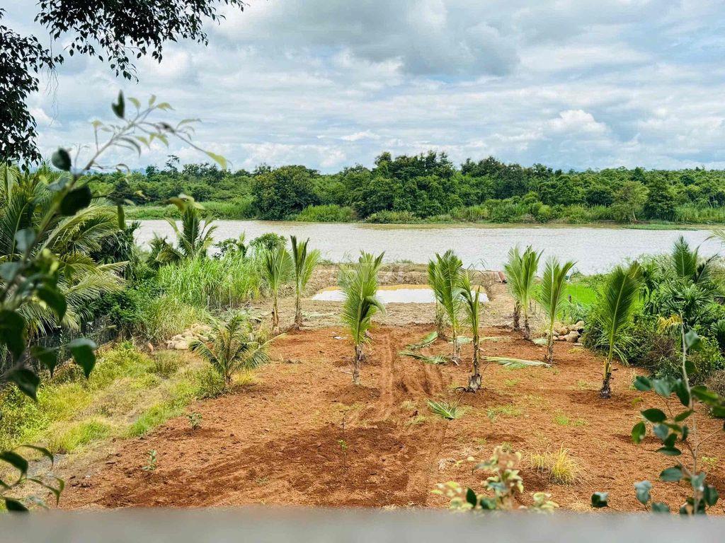 nhà vườn thổ cư full view mặt sông serepok cách ngã sáu BMT 23km