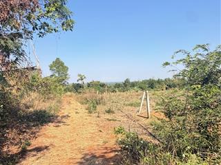 500m² đất thổ cư giá chỉ 1,65 tỷ