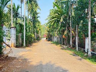 860m2 đất phường tân lập lô vuông đẹp, hợp làm nhà vườn / homestay