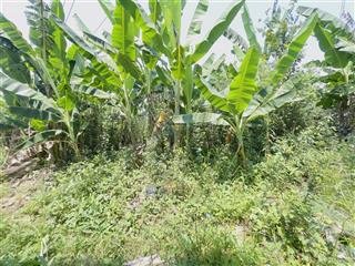 Bán đất tại diên phú cũ ( nay là diên điền ) cách hương lộ 45 chỉ 20m giá 2.65