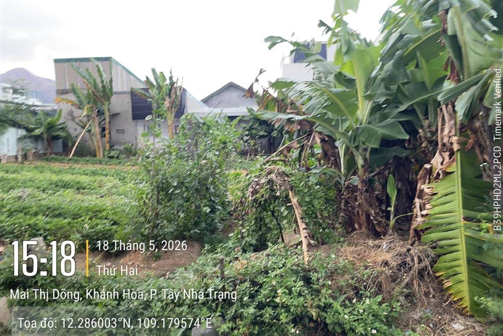 Bán đất hẻm 11 đường mai thị dõng phường tây nha trang cách trường đh thái bình dương chỉ 150m