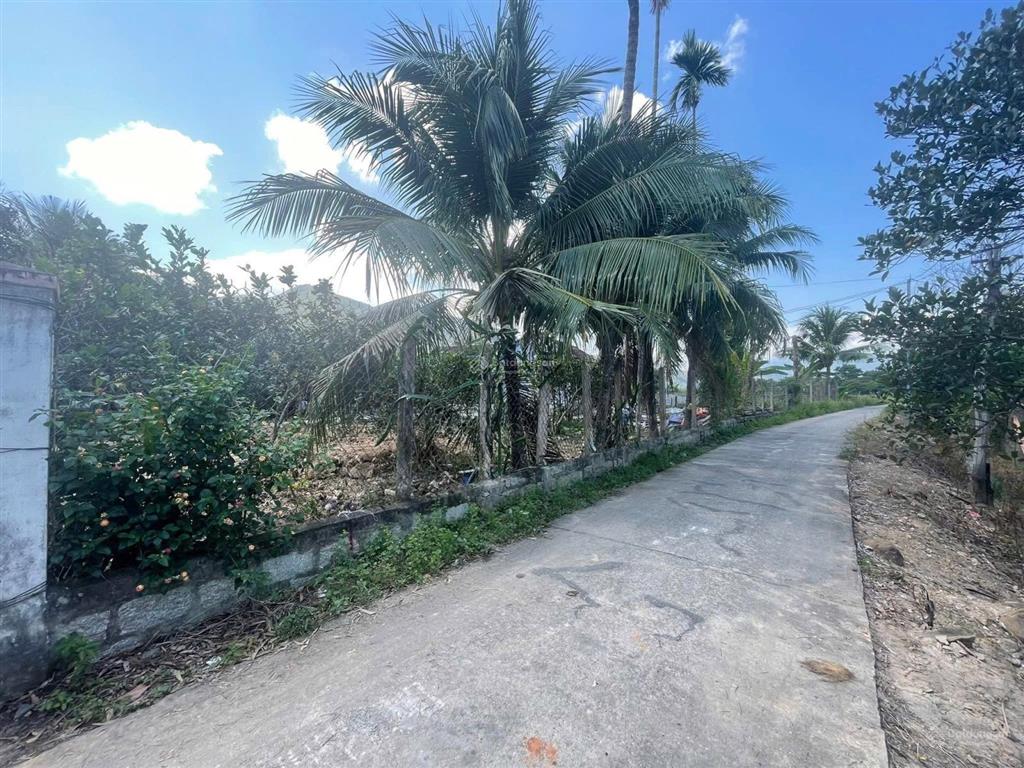 Chính chủ cần bán lô đất tại thôn an ninh, diên an, giá chỉ 13 triệu/m2.  0909 352 ***