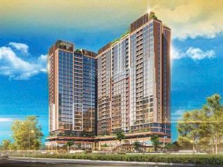 Giỏ hàng độc quyền celesta gold 1pn3pn, duplex trực tiếp cđt giá từ 4 tỷ. ck 9%.  0933 600 ***