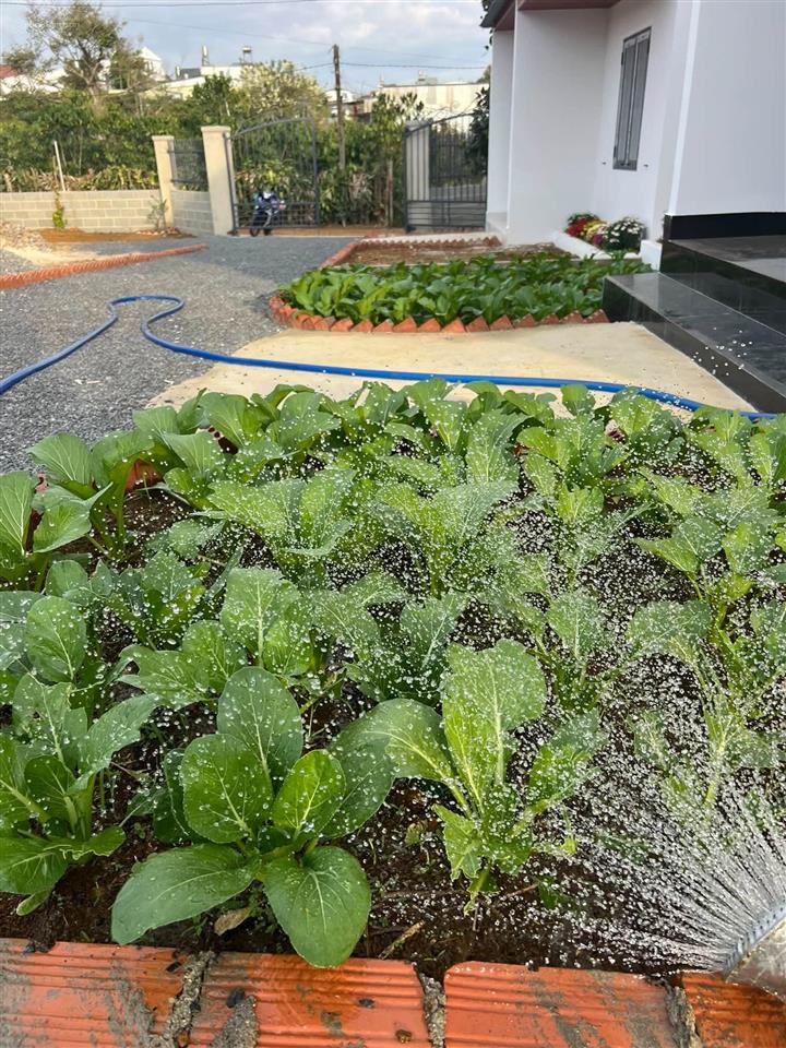 Bán đất nhà trung tâm phường lộc sơn cũ bảo lộc giá giảm cực mạnh. 0937 508 ***