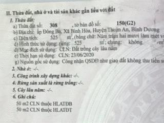 Cho thuê đất mặt tiền bình hoà 4 thuận an bình dương 10 x 52,5m, đường 68m, to đẹp, giá 35 triệu