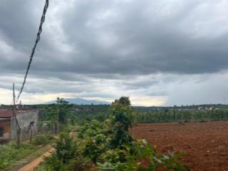 Bán 1000 m2 đất thổ cư có nhà c4 với 3 pn tại đan phượng, lâm hà, lâm đồng