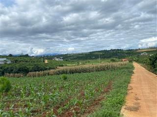 Cần bán đất thổ cư gần hồ phúc thọ, lâm hà, lâm đồng giá rẻ