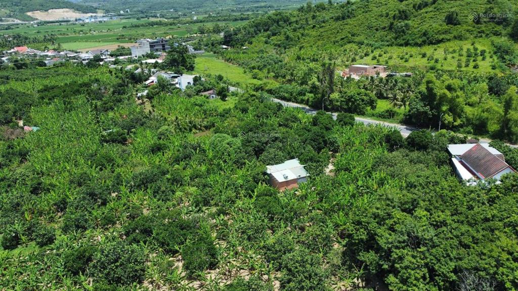 Bán mảnh vườn 2 hecta mặt tiền tỉnh lộ 2 vừa mặt sông cái , xã diên thọ, tỉnh khánh hòa