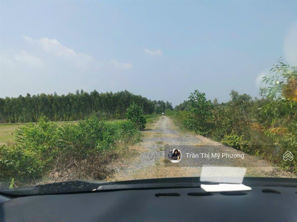 2541m2 đất trồng cây lâu năm, ấp 6 mỹ thạnh đông, ngang 40m, view kênh, sổ sẵn, công chứng nhanh
