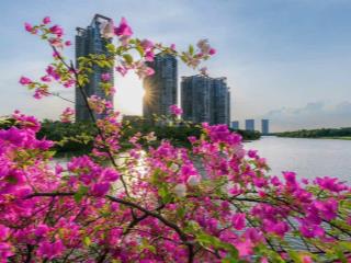 [swan lake onsen] studio chỉ 3,x tỷ full nội thất  tầng đẹp.  0981 152 ***