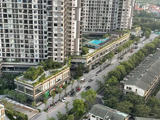 Căn hộ sân vườn 120m² haven park 3pn2vs giá 75tr/m2 full nội thất.  0918 114 ***