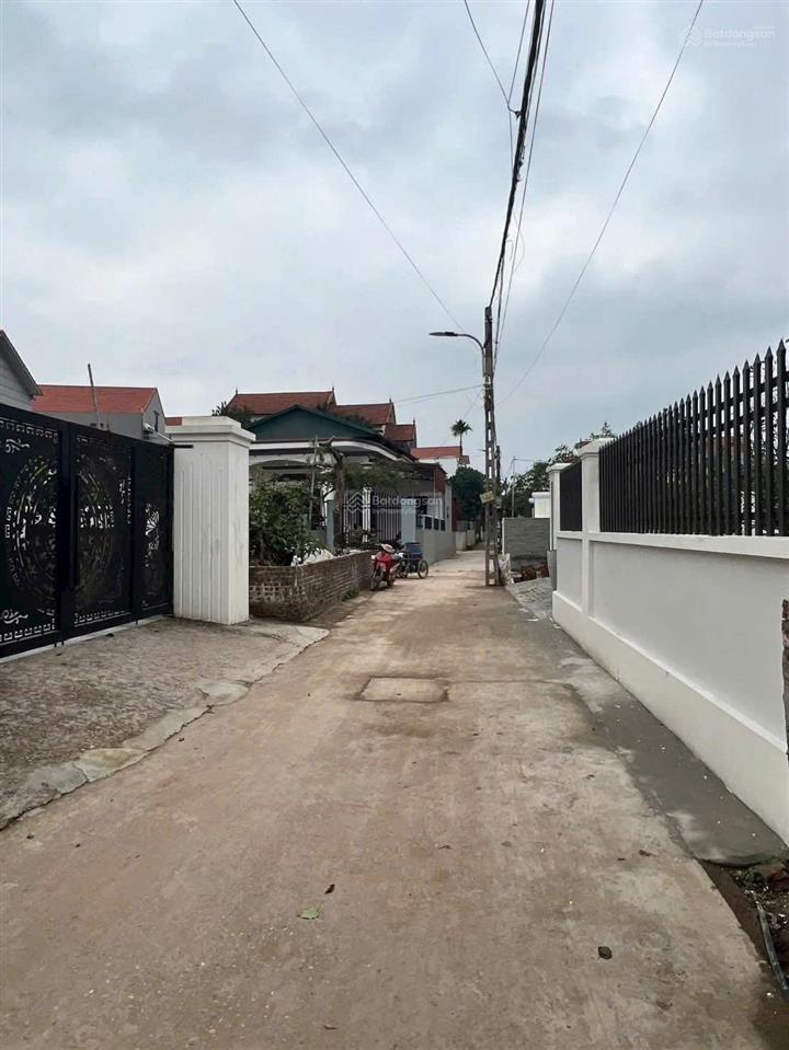 Chủ nhà bán đất phi liệt (liên nghĩavăn giang), gần pvf, alluvia city  s126.8m2 giá tốt
