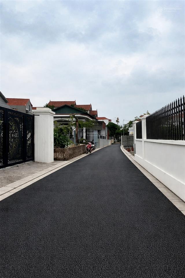 Chủ nhà bán đất phi liệt (liên nghĩavăn giang), gần pvf, alluvia city  s126.8m2 giá tốt