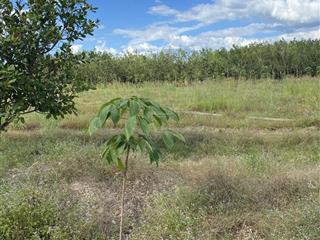 Bán đất tại xã lộc thành, 1,2 tỷ, 10000 m2