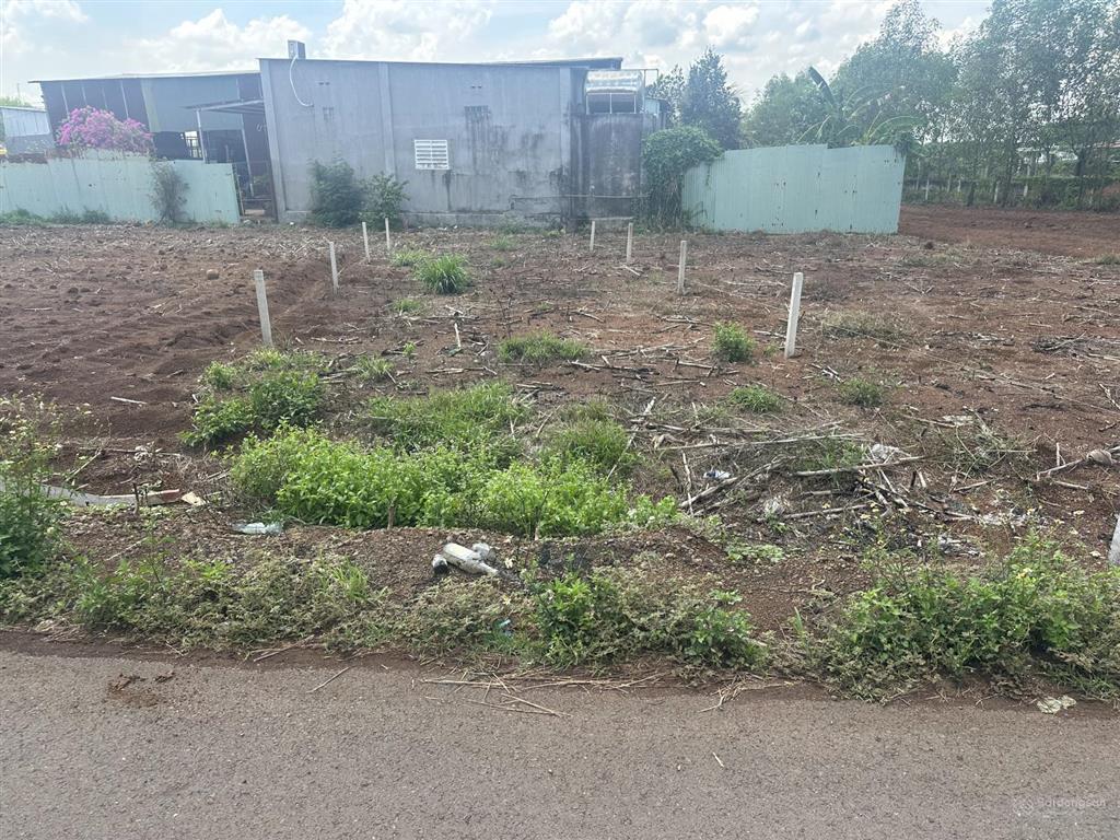 Bán đất tại xã lộ 25, huyện thống nhất, đồng nai, 820 triệu, 125 m2