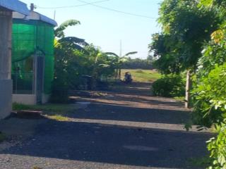 Bán đất quốc lộ 60, 2000m2, 1000m2 thổ cư, hàng hiếm tại sóc trăng