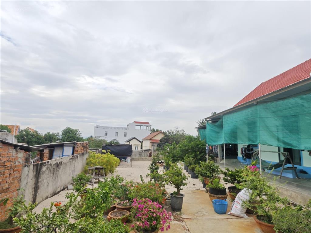 Bán đất khu vực dốc lết, ninh hòa, khánh hòa, 14 triệu/m2, 138 m2, chính chủ