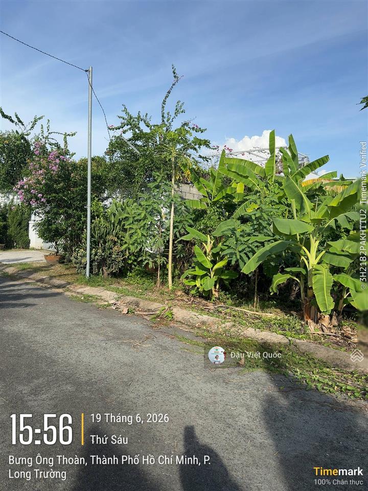 Dự án sở văn hóa thông tin, quận 9 (tp thủ đức), p. phú hữu, sổ đỏ, vị trí đẹp,  0914 920 ***