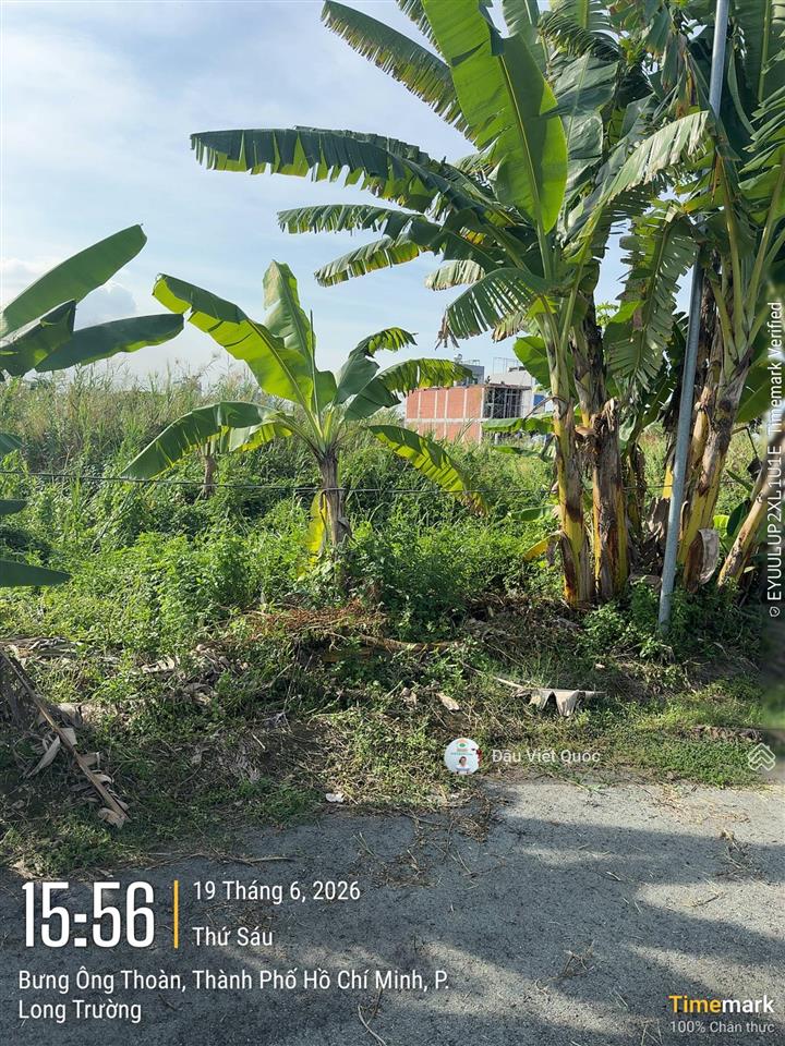 Dự án sở văn hóa thông tin, quận 9 (tp thủ đức), p. phú hữu, sổ đỏ, vị trí đẹp,  0914 920 ***