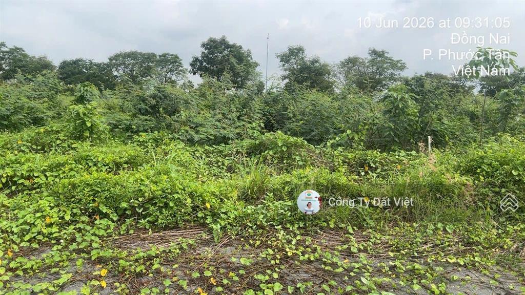 Cần bán nhanh lô đất tại kdc biên hòa new city p. phước tân 100m2, giá 1,75 tỷ