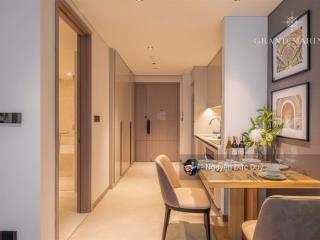 Chỉ 18,2 tỷ all in, thanh toán 30% nhận nhà tặng full nội thất châu âu, 36 tháng phí ql  marriott