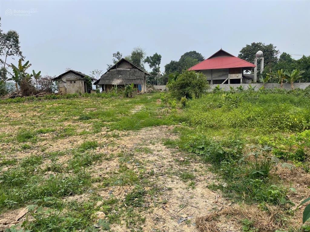 Cần bán gấp có 1.350m2 đất homestay hồ thác bà  yên bái 1tỷ150