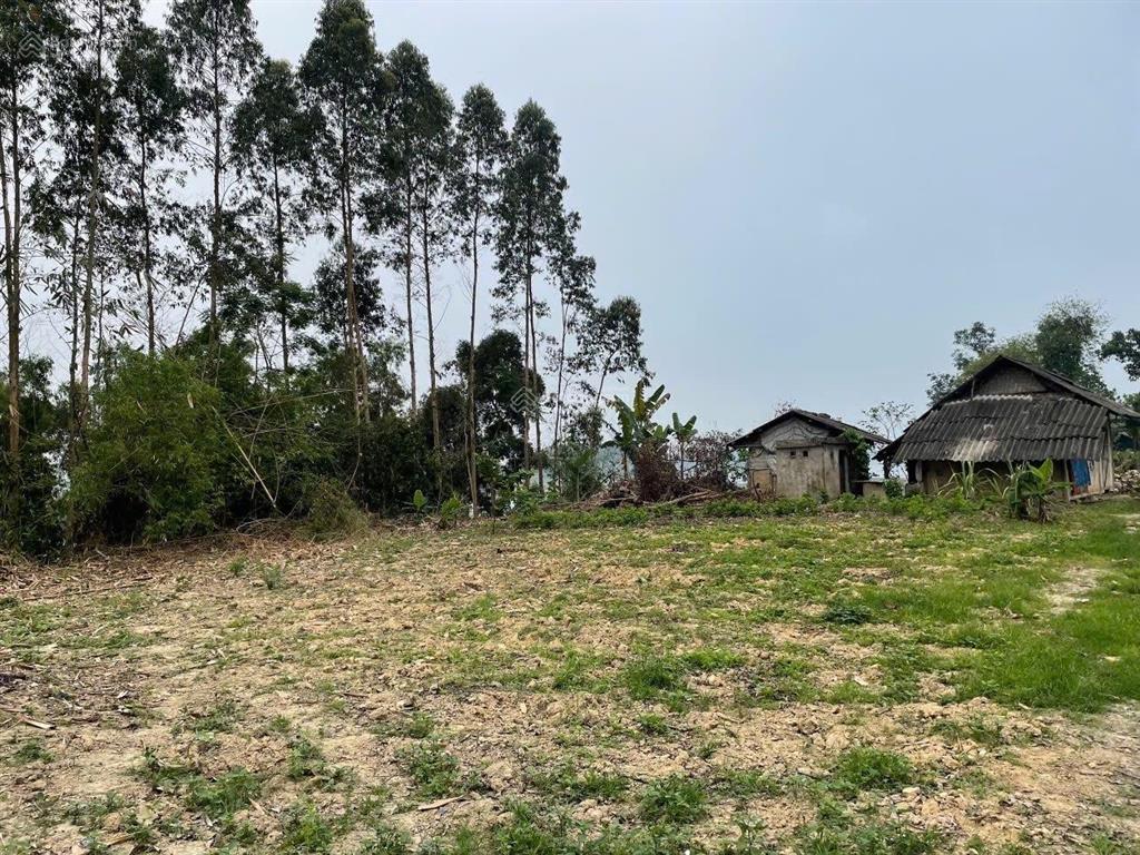 Cần bán gấp có 1.350m2 đất homestay hồ thác bà  yên bái 1tỷ150