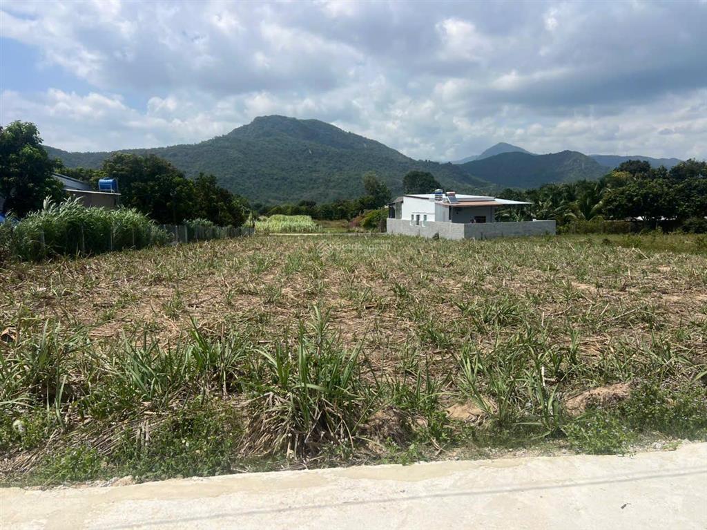 Cần bán lô đất 2300m2 tại cam an tỉnh khánh hòa giá 14tr/m2