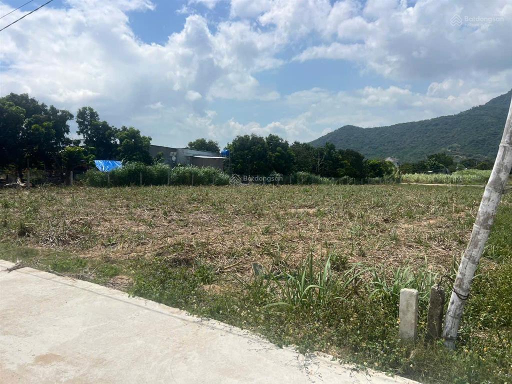 Cần bán lô đất 2300m2 tại cam an tỉnh khánh hòa giá 14tr/m2