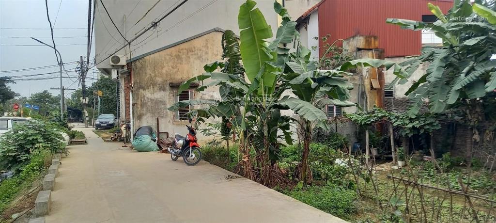 Cho thuê nhà 3 tầng 120m2 tại la tinh, đông la, hoài đức, hn. giá 6.5 triệu/1tháng. ô tô đỗ cửa
