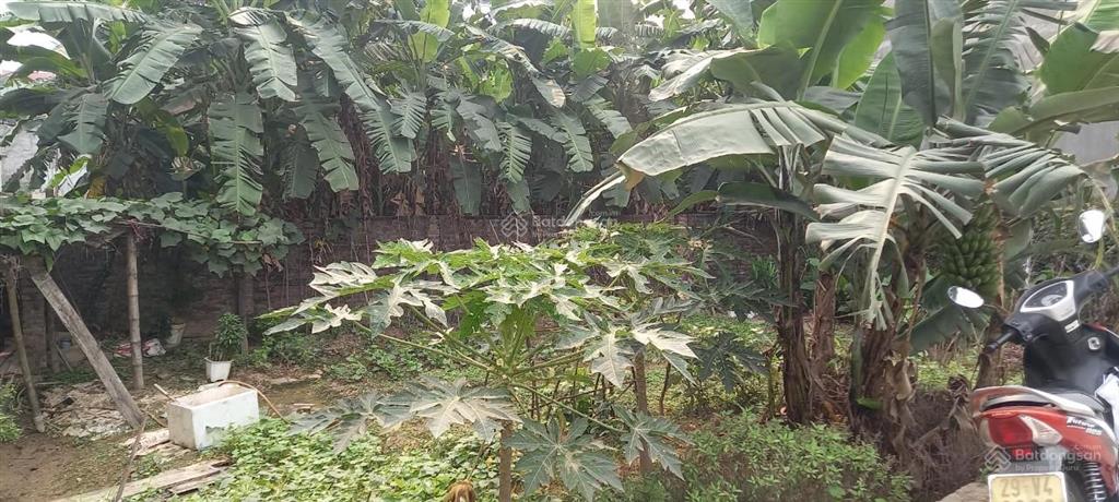 Cho thuê nhà 3 tầng 120m2 tại la tinh, đông la, hoài đức, hn. giá 6.5 triệu/1tháng. ô tô đỗ cửa