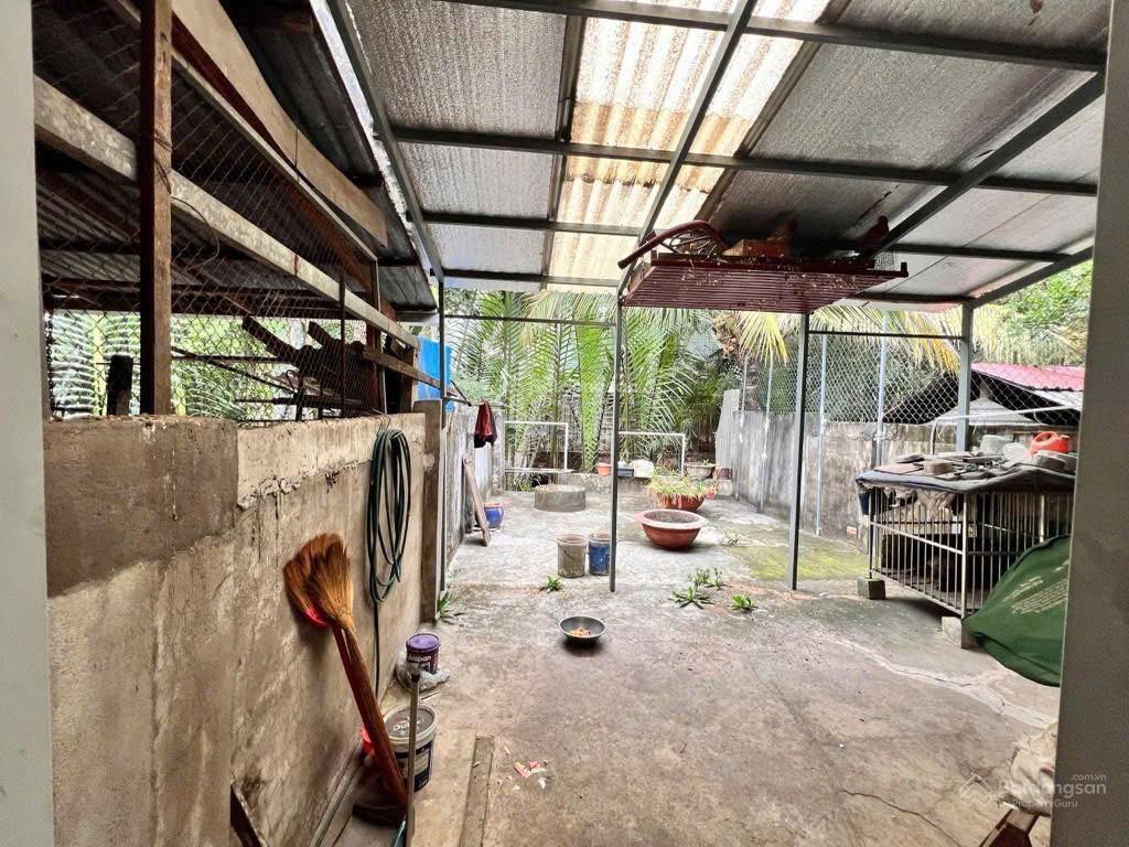Bán nhà vườn 125m2, vài bước chân ra đỗ xuân hợp | đường lớn 16m, full thổ cư ko qh lg, chỉ 9,8 tỷ