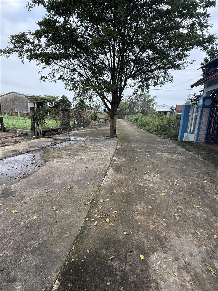 Bán đất cạnh kcn an lưu trục chính siêu đẹp